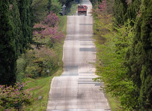 Road from Bolgheri - Tuscany - Italy